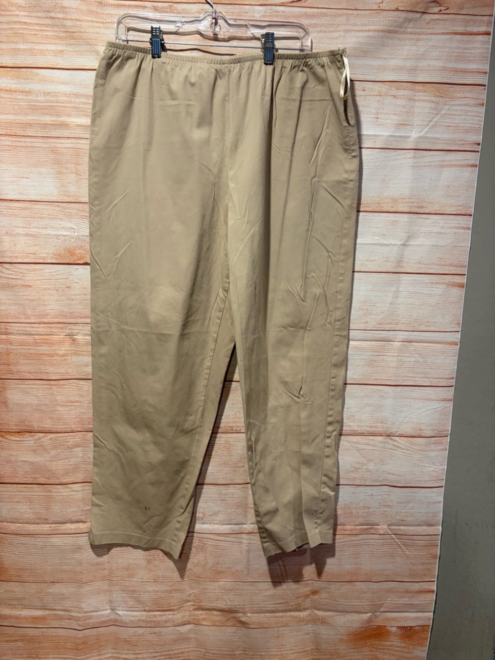 Eileen Fisher Relaxed Drawstring Chino Pants in Tan
